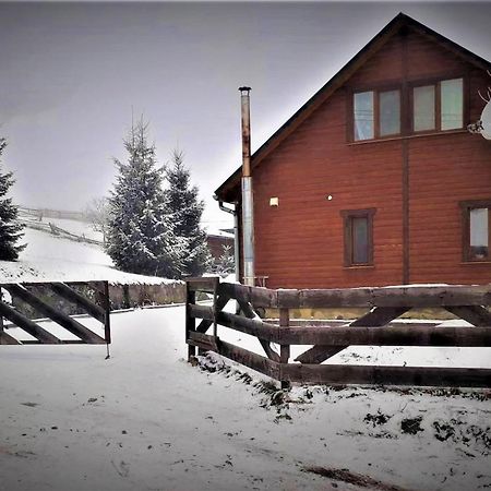 Cottage Ozerniy Lazeshchyna Ngoại thất bức ảnh